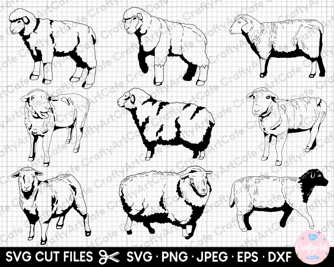 Sheep Svg Bundle Sheep Png Bundle Sheep Clipart Sheep Vector - Etsy