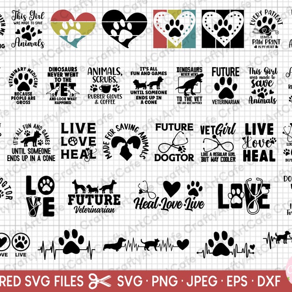 vet svg bundle vet png bundle veterinarian svg bundle veterinarian png bundle cricut shirt design commercial use vector