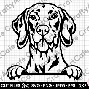 vizsla svg für Cricut vizsla svg schnitt Datei spähen vizsla svg png eps dxf