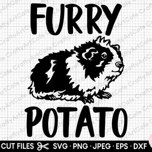 guinea pig svg guinea pig png furry potato
