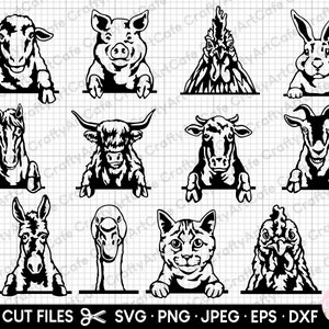animaux de la ferme furtivement svg png bundle cricut mouton svg poulet svg coq cheval vache des montagnes chèvre cochon lapin grange chat âne oie furtivement
