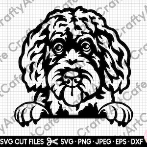 labradoodle silhouet svg / labradoodle png / clip art