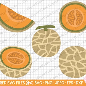 May include: A set of five layered SVG files for crafting, featuring a melon design. The files include a whole melon, a half melon, a slice of melon, and two melon rind patterns. The melon is depicted in shades of green, brown, and orange.