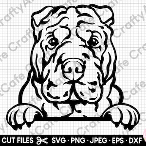 shar pei späht svg shar pei png shar pei svg Cricut geschnitten Datei shar pei Silhouette