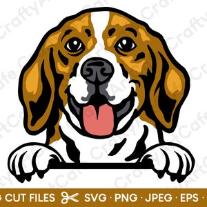 Beagle SVG Beagle Peeking SVG for Cricut Beagle PNG