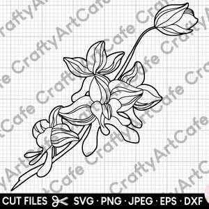 orchid svg orchid png orchid lineart cricut commercial use