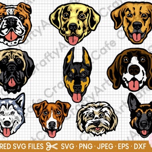 Bundle svg tête de chien pour fichiers de coupe en couches cricut, doberman, bouledogue anglais, berger allemand, gsd, golden retriever, husky