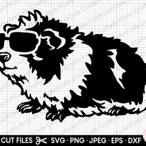 porcellino d&#39;India in formato SVG porcellino d&#39;India png sagoma di porcellino d&#39;India vettore di cavia cavia con occhiali da sole