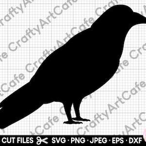 kraai silhouet svg kraai silhouet png kraai clipart