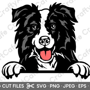 Boarder Collie Peeking SVG for Cricut
