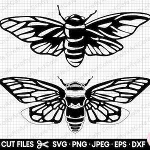 cicada svg png clipart