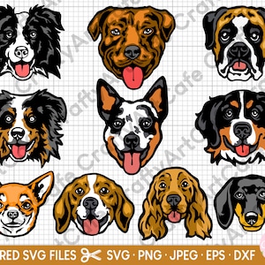 hunde svg bündel cricut Beagle Boxer Berner Sennenhund Cocker Spaniel Dackel Chihuahua Border Collie