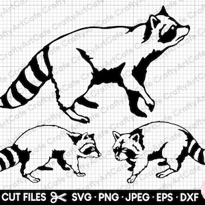 raton laveur svg raton laveur svg raton laveur png raton laveur png raton laveur png clipart vecteur silhouette cricut coupe fichier