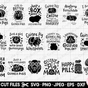 guinea pig svg bundle guinea pig png bundle guinea pig cricut cut files