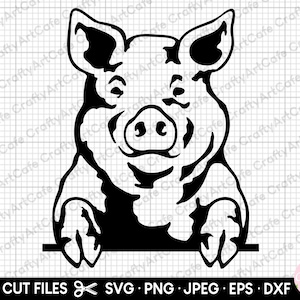 pig peeking svg pig peeking png pig peeking vector pig peeking cut file pig peeking eps dxf jpg jpeg clipart silhouette cutting file