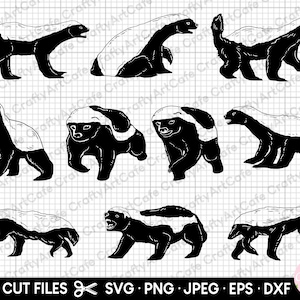 honey badger svg bundle honey badger png bundle honey badger clipart honey badger silhouette commercial use cricut