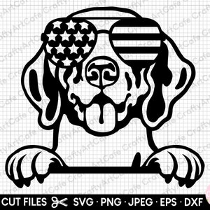 german shorthaired pointer peeking svg png silhouette vector cut file cricut