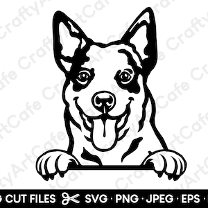 Bouvier australien Peeking SVG Bouvier australien chien SVG Silhouette pour Cricut