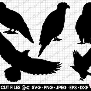 eagle svg bundle eagle png bundle eagle clipart eagle silhouette free commercial use