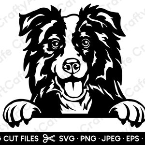 Boarder Collie Peeking SVG for Cricut Silhouette