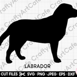 labrador silhouette svg cut file