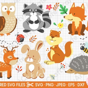 Autum Animals SVG Files for Cricut Owl SVG Raccoon SVG Fox Svg Squirrel Svg Hedgehog Svg Deer Svg Rabbit Svg Bee Svg Ladybug Svg