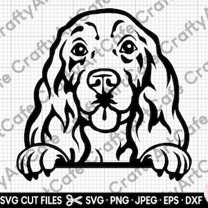 cocker spaniel peeking svg