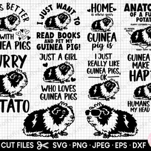 guinea pig svg, guinea pig png, guinea pig svg cricut, guinea pig svg bundle, guinea pig png bundle, eps dxf jpeg vector