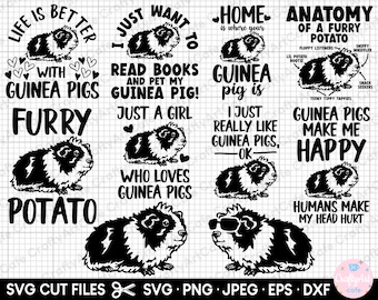 guinea pig svg, guinea pig png, guinea pig svg cricut, guinea pig svg bundle, guinea pig png bundle, eps dxf jpeg vector