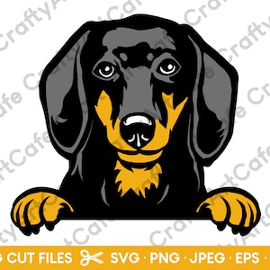 Dachshund Head SVG for Cricut Dachshund PNG Dachshund Peeking Eps Dxf Jpeg Clip Art