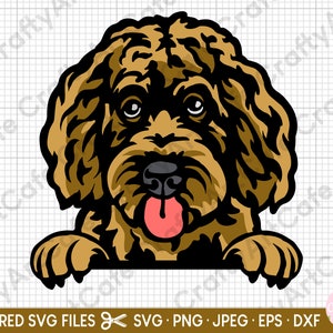 labradoodle cut file svg / labradoodle png / eps dxf jpeg