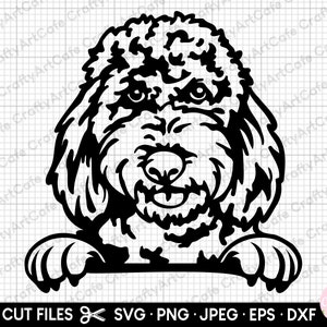 goldendoodle peeking svg png cricut