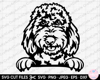 Peeking Goldendoodle Dog SVG PNG Set Peeking Dog Png Peeking Dog Svg ...