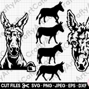 Esel sv Bundle für Cricut Esel Silhouette Esel PNG Eps Dxf Vektor Clipart