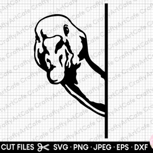 goose peeking svg peeking goose svg png eps dxf jpg cut file cricut silhouette cutting machine commercial use