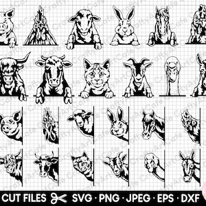 farm animals peeking svg bundle cut files cricut sheep chicken rooster horse highland cow goat pig rabbit barn cat donkey goose png clipart