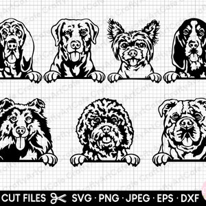 May include: Black and white silhouette illustrations of seven different dog breeds peeking over a surface. The dogs include a Bloodhound, Labrador Retriever, Chinese Crested, Black and Tan Coonhound, Collie, Poodle, and Bulldog.