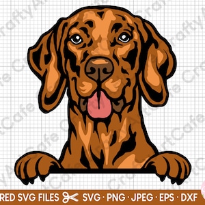 vizsla svg für Cricut vizsla svg schnitt Datei spähen vizsla svg png eps dxf