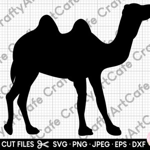 sagoma di cammello svg sagoma di cammello png clipart di cammello