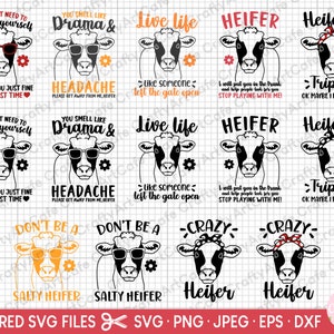 heifer svg bundle cricut cut file free commercial use heifer png bundle shirt design cow svg bundle cow png bundle heifer svg png eps dxf