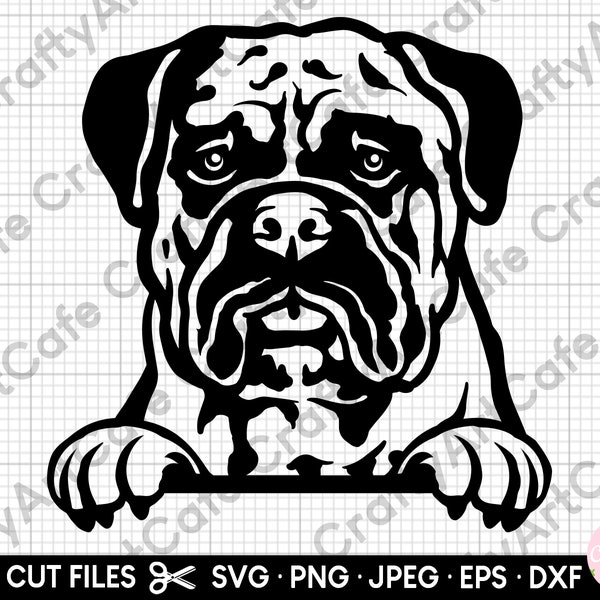 bullmastiff peeking svg bullmastiff peeking png bullmastiff svg for cricut bullmastiff cut file