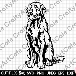 golden retriever sentado svg, golden retriever sentado png, silhueta gold retriever, uso comercial