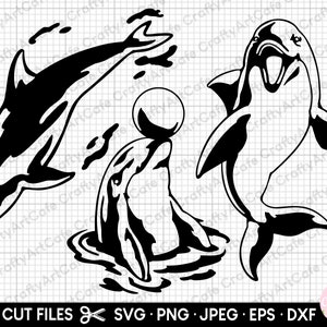 dolphin svg png eps dxf clipart dolphin vector silhouette free commercial use