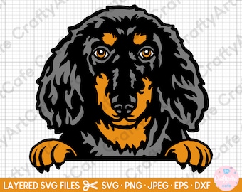 miniature long haired dachshund puppy peeking svg cut file cricut doxie svg dachshund svg png eps dxf