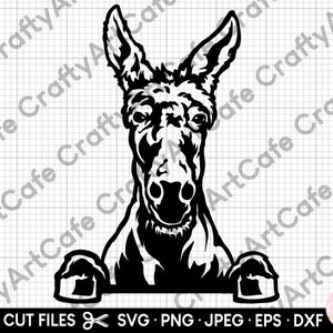Esel peeking svg für Cricut Esel späht png mule peeking svg Esel Silhouette kommerzielle Nutzung