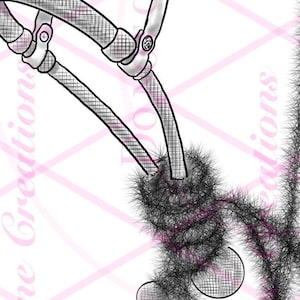 Hackamore Sublimation PNG Digital Download Bosal Mecate Horse