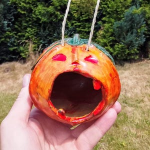 May include: A handmade ceramic pumpkin birdhouse with a large opening and red accents. The birdhouse is orange with a green stem and is suspended by two white cords. The birdhouse is held in a person's hand against a backdrop of green foliage.