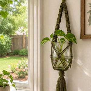 May include: A green macrame plant hanger with a clear glass vase holding a green plant with yellow-green leaves. The hanger is suspended from a dark metal hook on a white wall. A decorative tassel hangs from the bottom of the hanger.