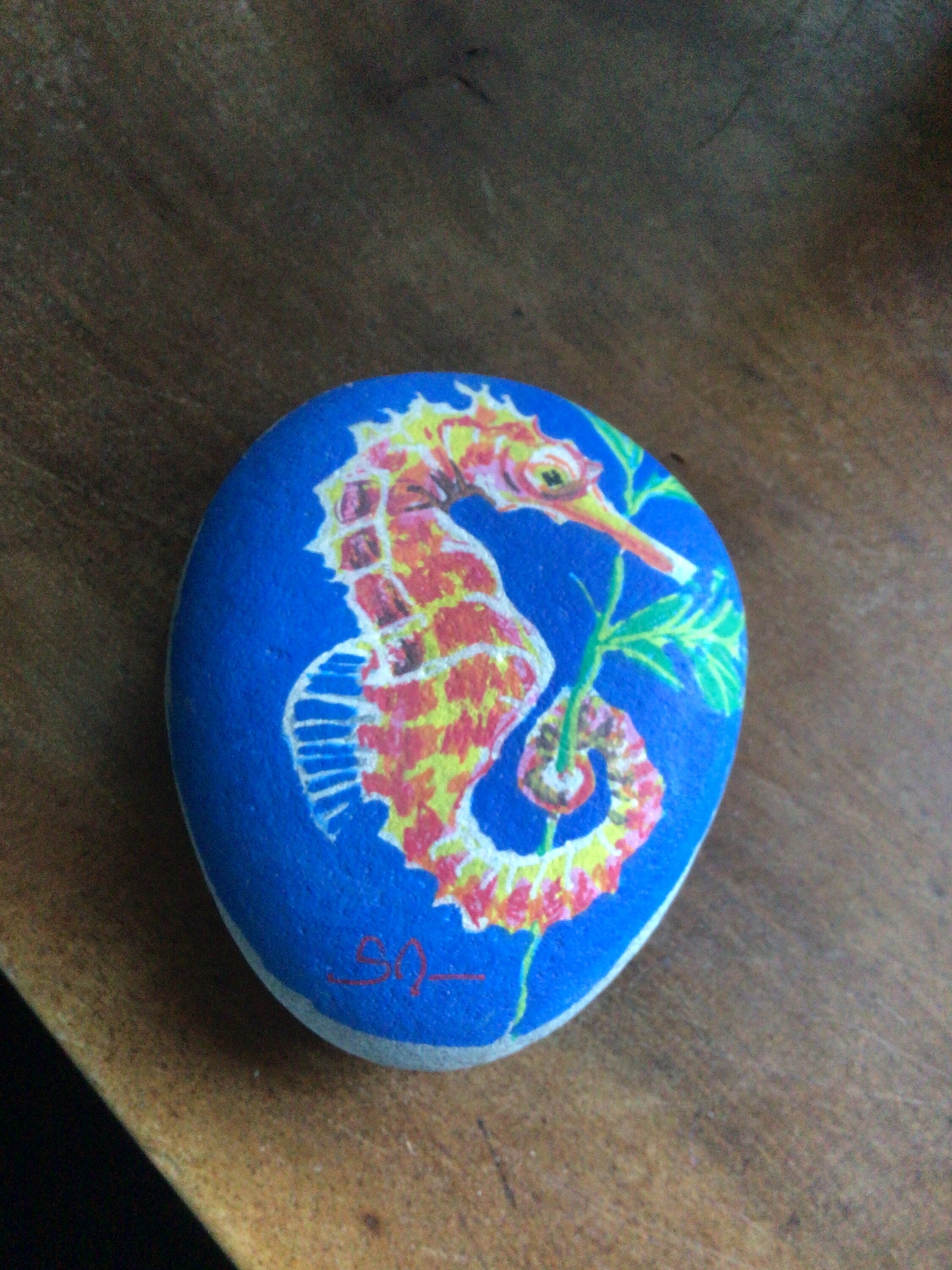 Galet Hyppocampe Coloré