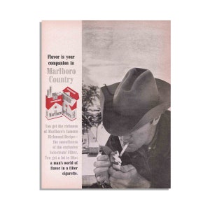 May include: Vintage advertisement for Marlboro cigarettes. The image features a cowboy lighting a cigarette, with text that reads "Flavor is your companion in Marlboro Country." The ad also shows a pack of Marlboro cigarettes.
